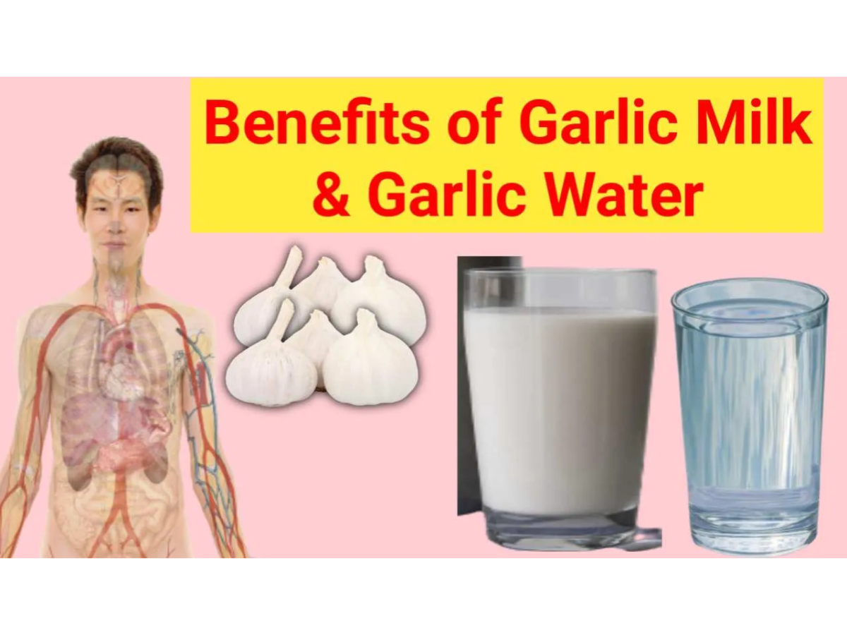 Benefits-of-Garlic-Milk.webp